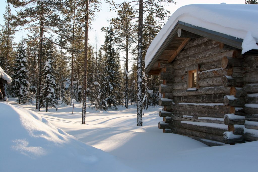 Cabin in Fins Lapland
