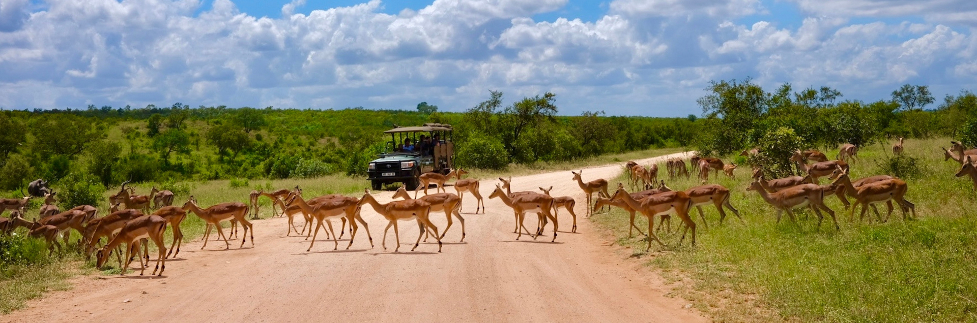 2 Zuid Afrika safari reis header