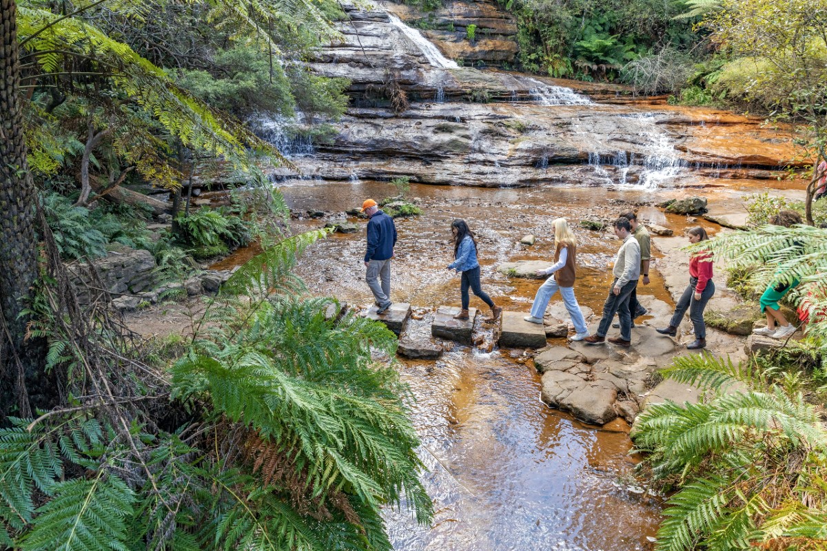 Blue Mountains Australie wandelen