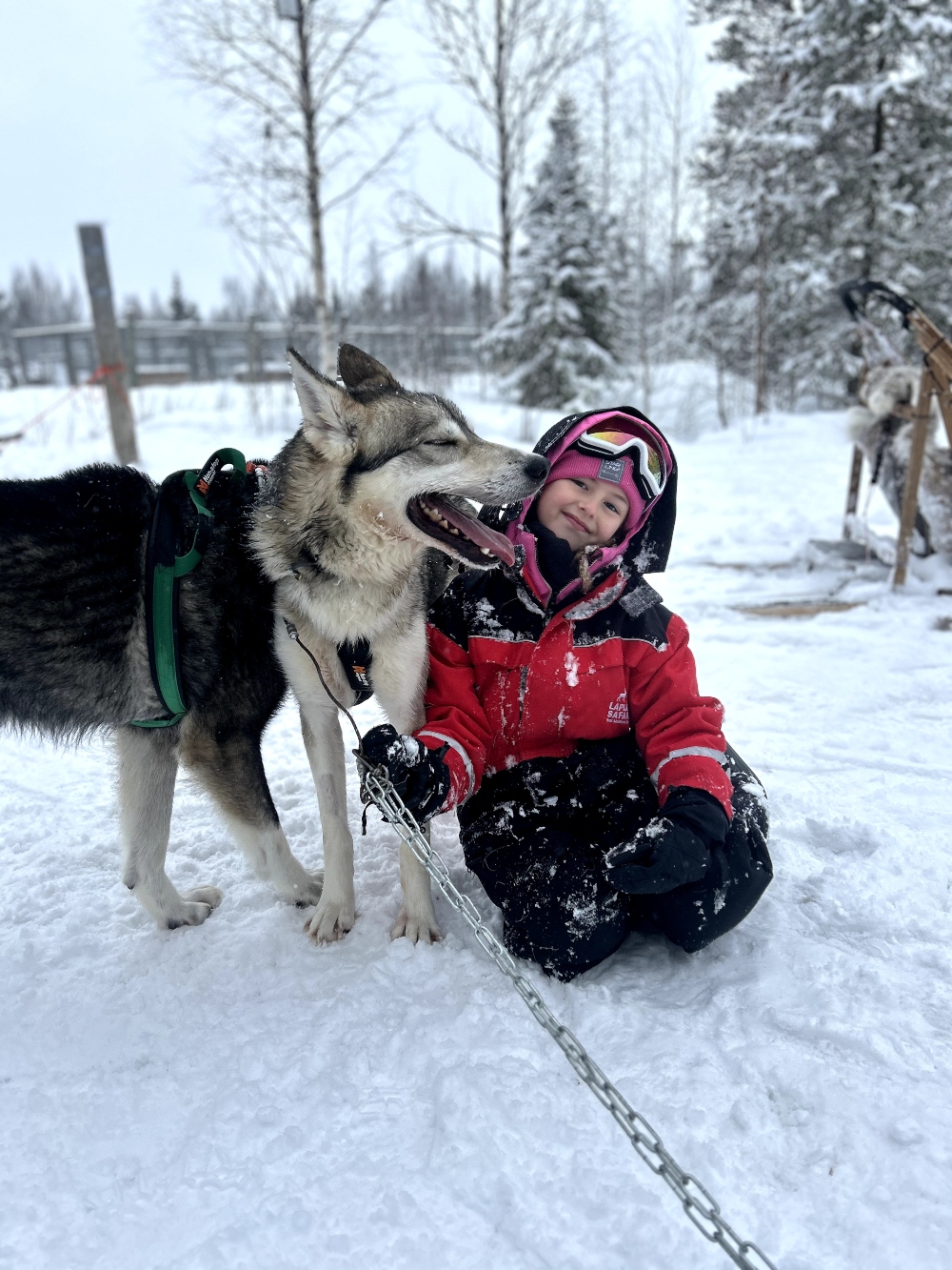 Familie Makaraci review Natuurlijk op reis