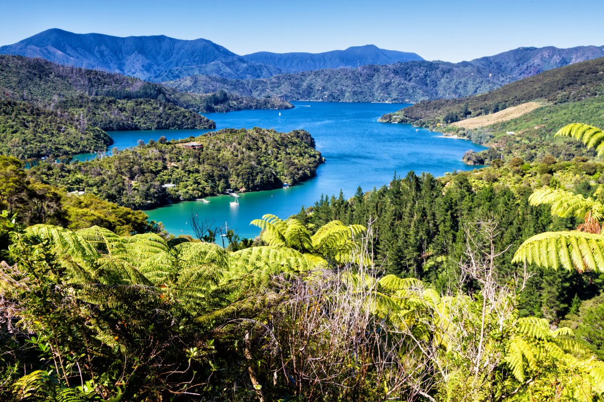 Marlborough Sounds Nieuw Zeeland