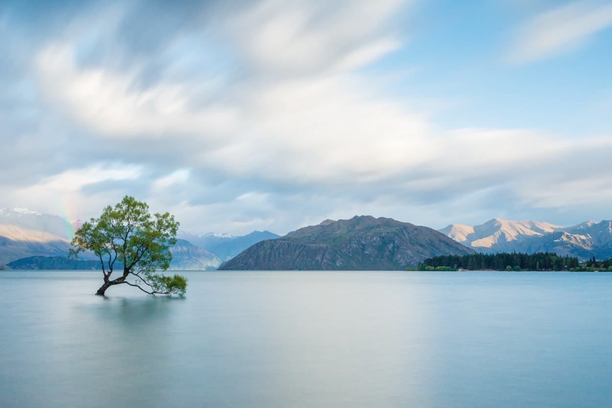 Natuur Nieuw-Zeeland Wanaka