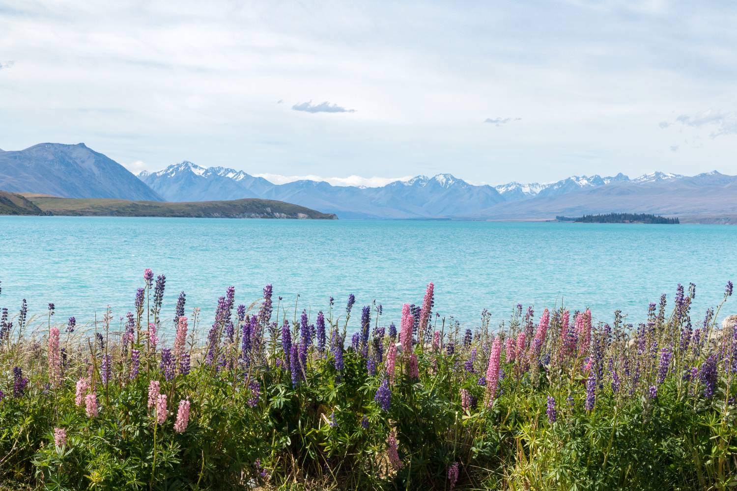 Tekapo 3 weken Nieuw Zeeland