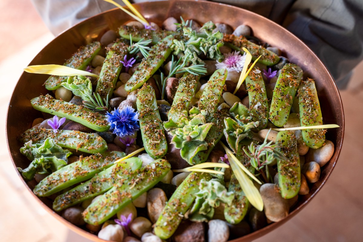 Typisch Australisch eten bush