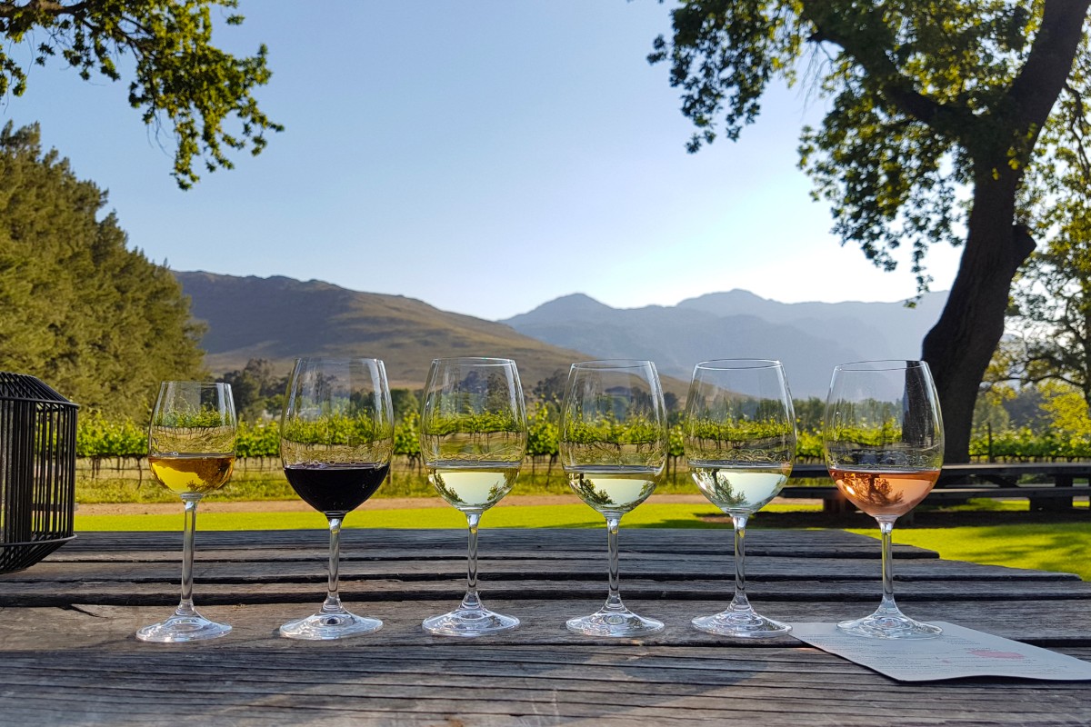 Wijnregios Zuid Afrika