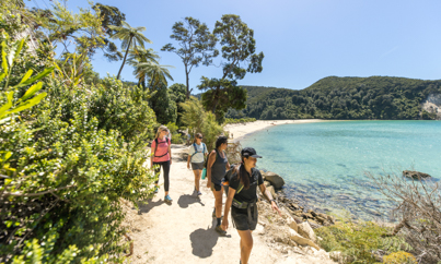 Wandelen bij Abel Tasman - Rondreis Nieuw-Zeeland 5 weken