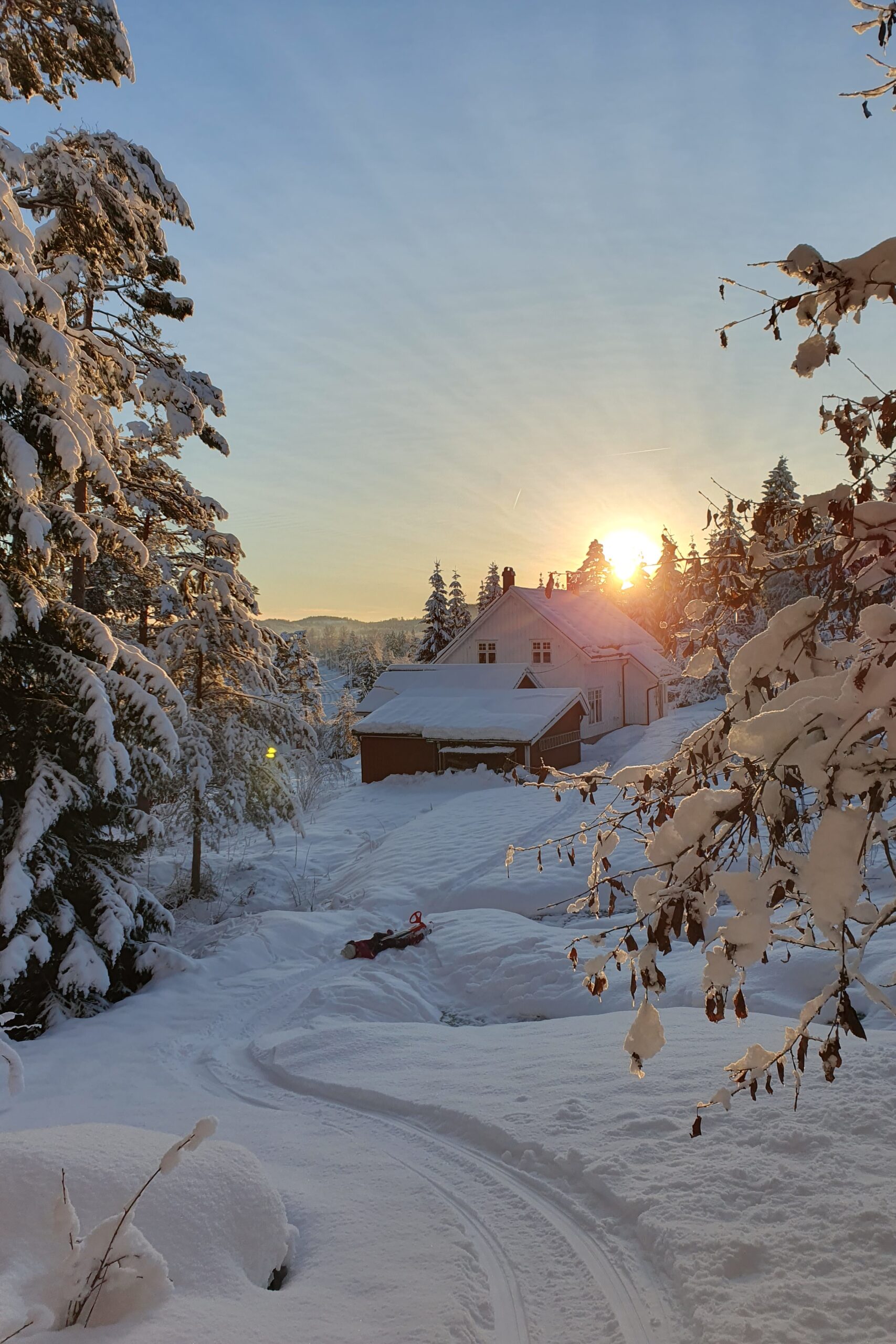 Nederland vs Noorwegen emigratie zonsondergang scaled 1