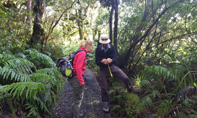 Wandelen door Taranaki - Rondreis Nieuw-Zeeland 5 weken