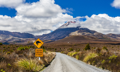 Tongariro bordje kiwi
