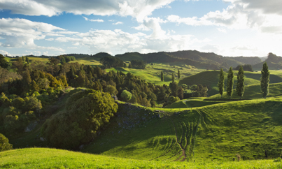 Waitomo heuvels - Rondreis Nieuw-Zeeland 5 weken