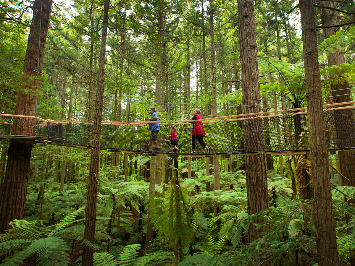 Nieuw-Zeeland met kinderen: Redwoods Forest Rotorua