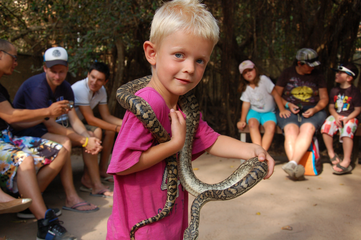 Hoe veilig is Australië over slangen en spinnen