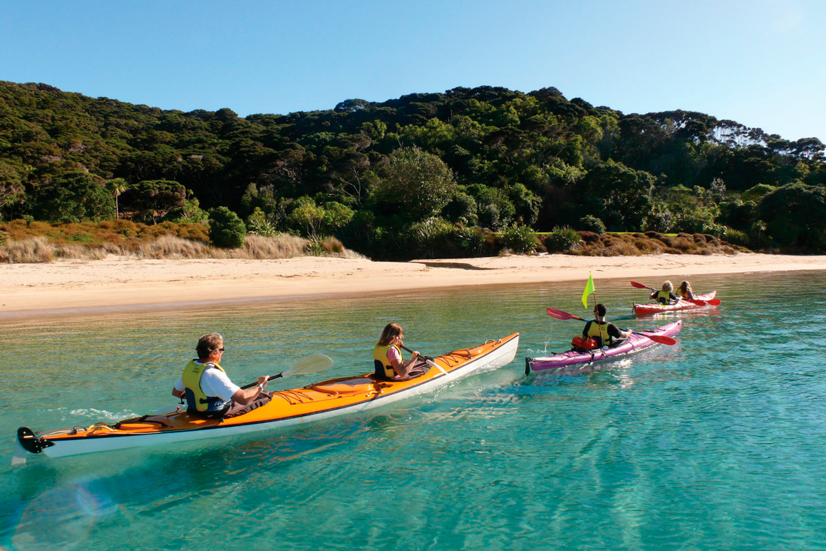 Rondreis Nieuw-Zeeland 4 weken: Bay of Islands