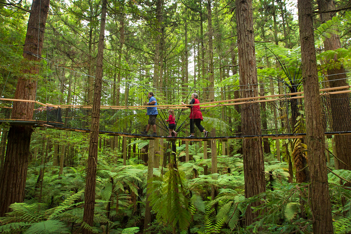 Nieuw Zeeland met kinderen Redwoods Forest Rotorua