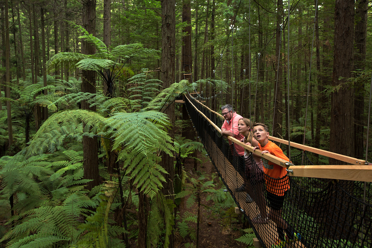 Nieuw Zeeland Noordereiland of Zuidereiland met kinderen Redwood Forest Rotorua