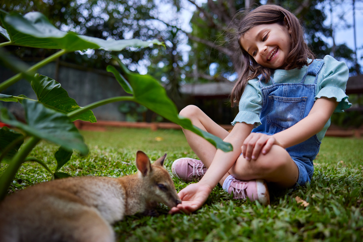 Oostkust Australie wildlife met kinderen