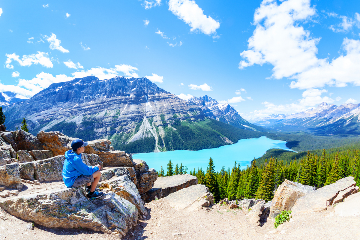 Peyto Lake Lookout tijdens een rondreis door de Canadese Rockies